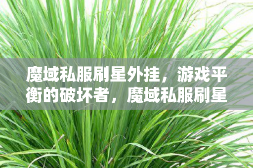 魔域私服刷星外挂图片