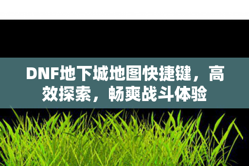 DNF地下城地图快捷键图片