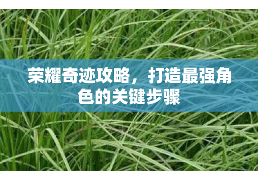 荣耀奇迹攻略，打造最强角色的关键步骤