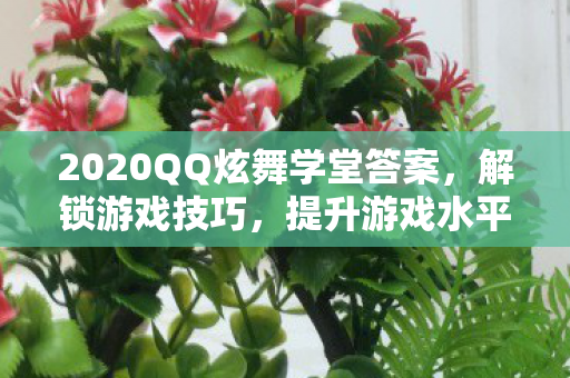 2020QQ炫舞学堂答案图片