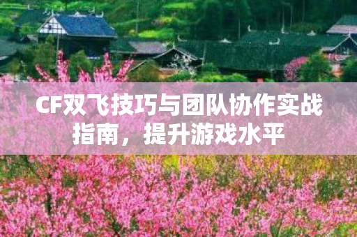 CF双飞技巧与团队协作实战指南图片