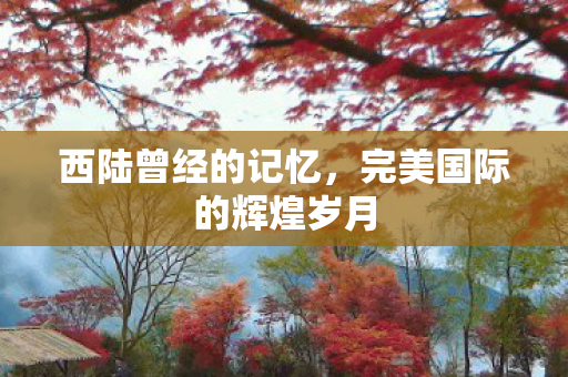 完美国际的辉煌岁月图片