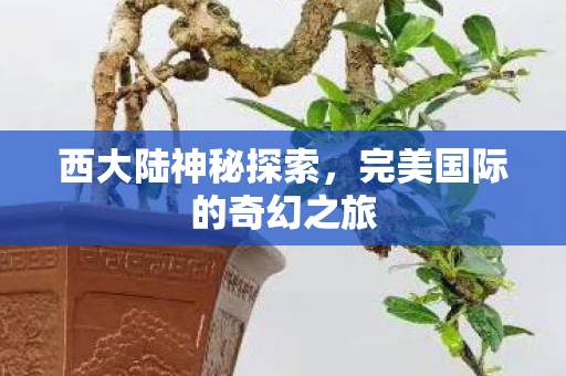 完美国际的奇幻之旅图片