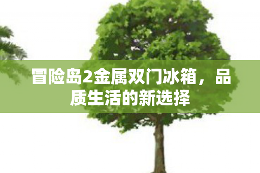 冒险岛2金属双门冰箱图片