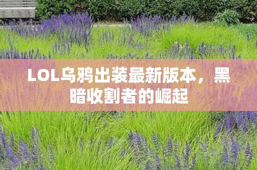 LOL乌鸦出装最新版本图片