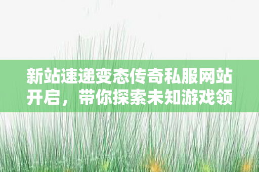 新站速递变态传奇私服网站开启图片