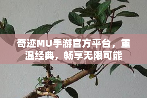奇迹MU手游官方平台图片