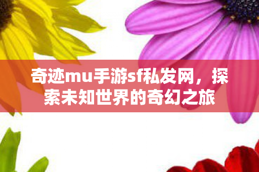 奇迹mu手游sf私发网图片