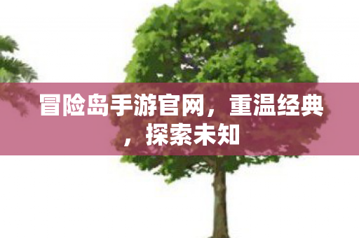 冒险岛手游官网图片