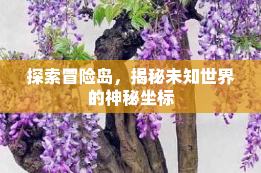 揭秘未知世界的神秘坐标图片