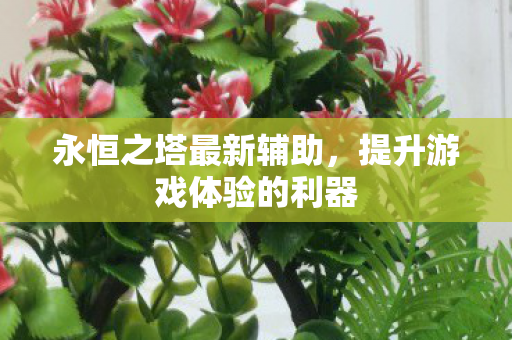 永恒之塔最新辅助,提升游戏体验的利器 永恒之塔最新辅助,提升游戏体验的利器