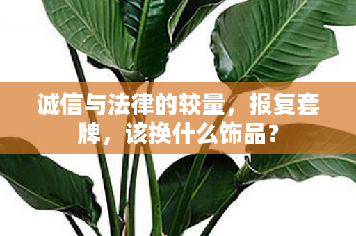 诚信与法律的较量图片