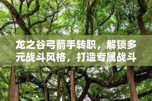 龙之谷弓箭手转职图片