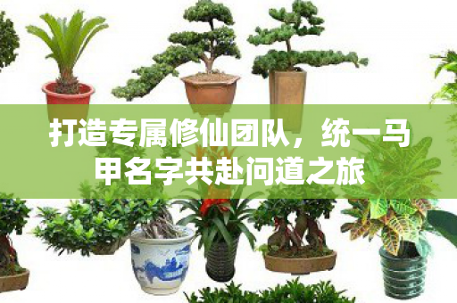 统一马甲名字共赴问道之旅图片