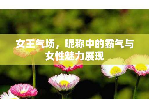 昵称中的霸气与女性魅力展现图片