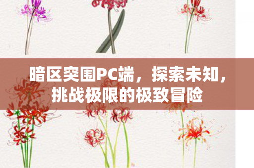 暗区突围PC端，探索未知，挑战极限的极致冒险