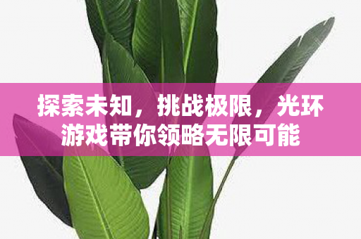 光环游戏带你领略无限可能图片