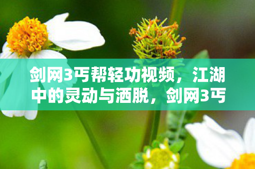 剑网3丐帮轻功视频,江湖中的灵动与洒脱,剑网3丐帮轻功,江湖中的灵动与洒脱 剑网3丐帮轻功视频,江湖中的灵动与洒脱,剑网3丐帮轻功,江湖中的灵动与洒脱