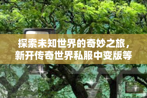 新开传奇世界私服中变版等你来战图片