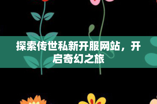 探索传世私新开服网站图片