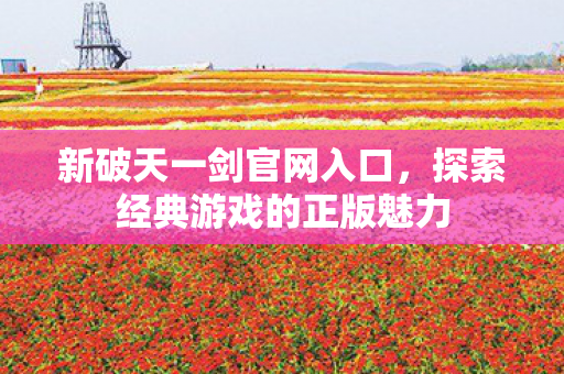 探索经典游戏的正版魅力图片