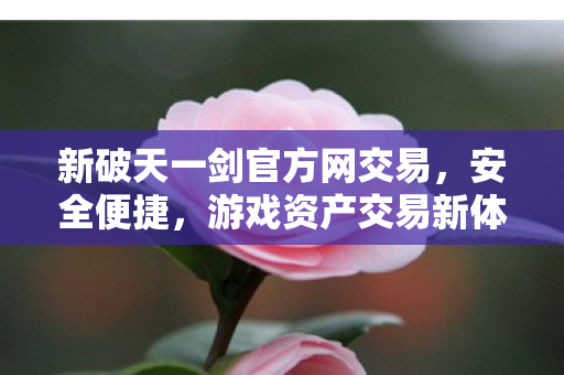 新破天一剑官方网交易图片