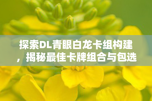 探索DL青眼白龙卡组构建图片