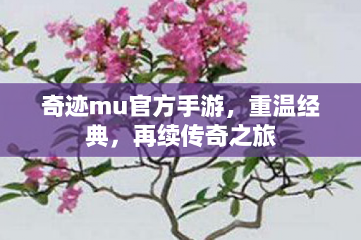 奇迹mu官方手游图片
