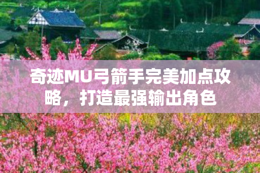 奇迹MU弓箭手完美加点攻略图片