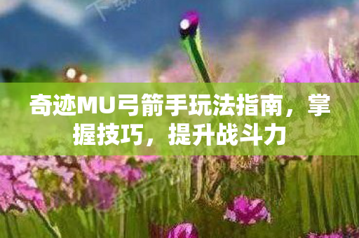 奇迹MU弓箭手玩法指南图片