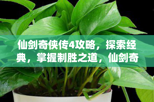 仙剑奇侠传4攻略图片