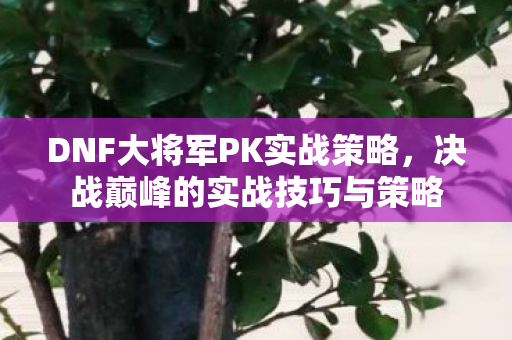DNF大将军PK实战策略图片