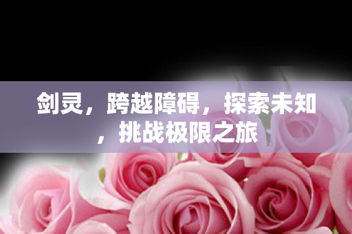 挑战极限之旅图片