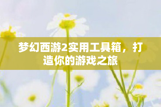 梦幻西游2实用工具箱图片
