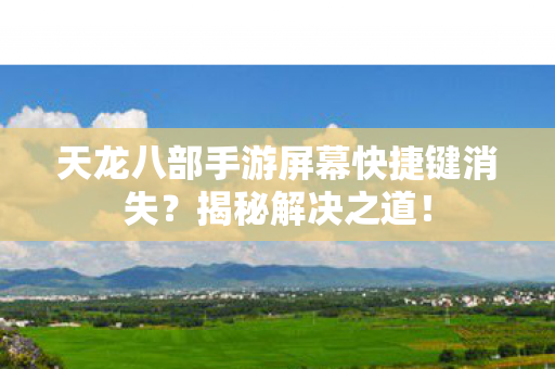 天龙八部手游屏幕快捷键消失图片