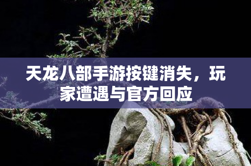 天龙八部手游按键消失图片