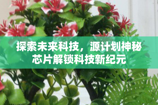源计划神秘芯片解锁科技新纪元图片