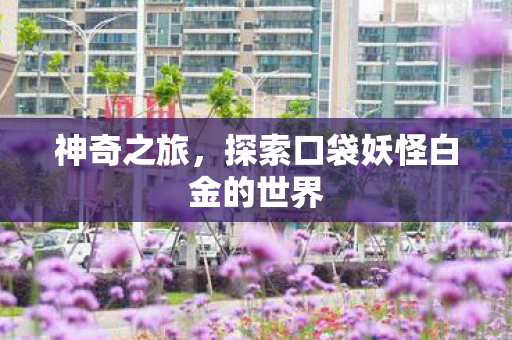 探索口袋妖怪白金的世界图片