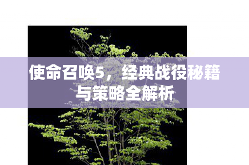 经典战役秘籍与策略全解析图片