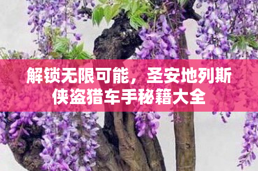 圣安地列斯侠盗猎车手秘籍大全图片