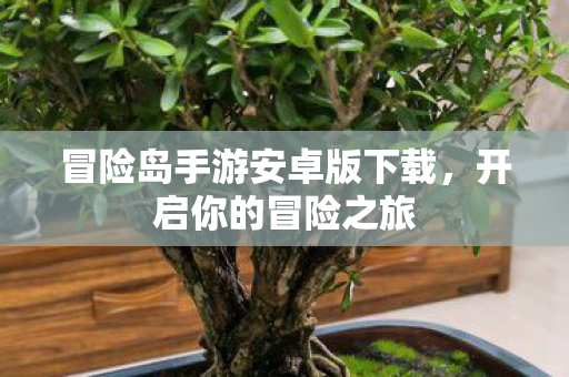冒险岛手游安卓版下载图片