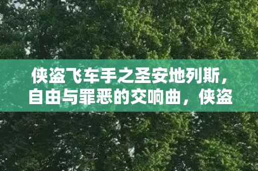 侠盗飞车手之圣安地列斯图片