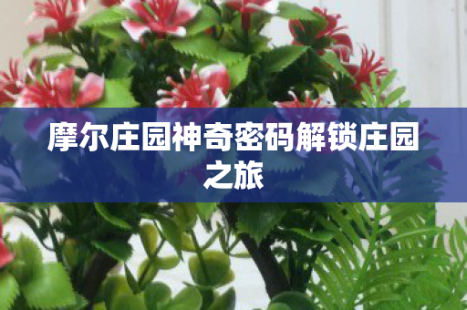 摩尔庄园神奇密码解锁庄园之旅图片