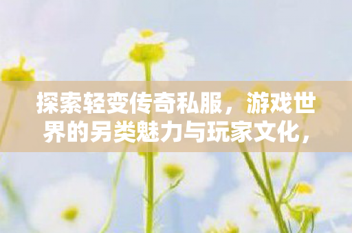 探索轻变传奇私服，游戏世界的另类魅力与玩家文化，轻变传奇私服，探索游戏世界的另类魅力与玩家文化