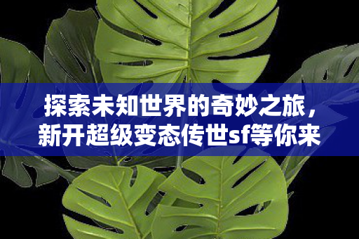 新开超级变态传世sf等你来战图片