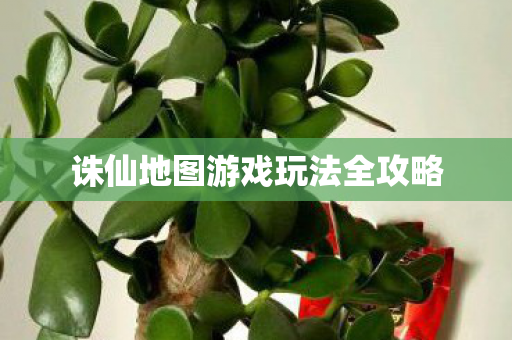 诛仙地图游戏玩法全攻略