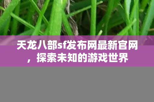 天龙八部sf发布网最新官网图片