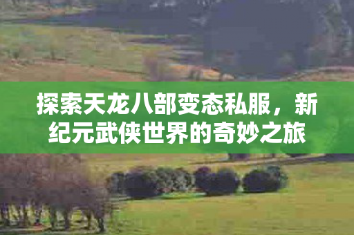 新纪元武侠世界的奇妙之旅图片