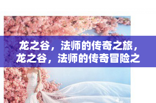 法师的传奇冒险之旅图片