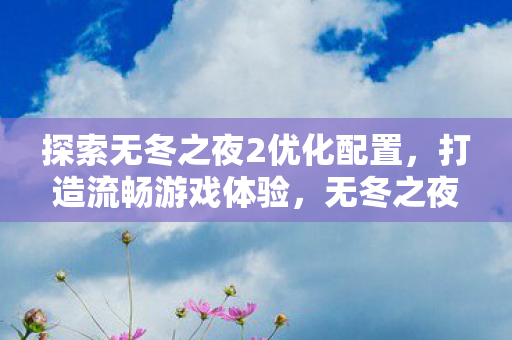 无冬之夜2优化设置全解析图片